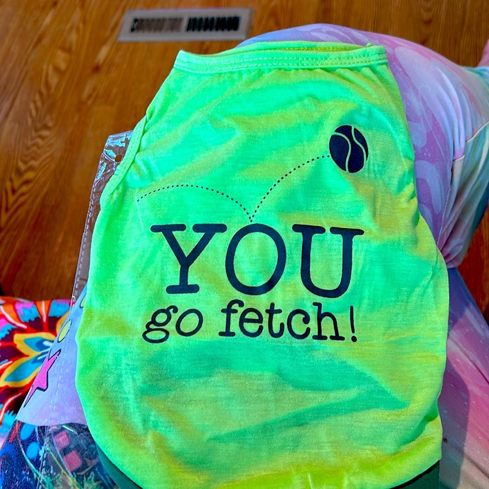 5/$20 Size, small male dog T-shirt, green